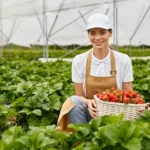 FreshRoots Financial Growth